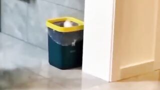 Try Not To Laugh Challenge 2