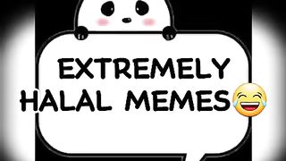 Extremely Halal memes