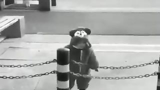 little panda girl????