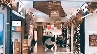 run ruuun>> latest pandas fight this year!!!!! ❤️❤️