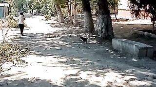 ОХРАНА ТЕРРИТОРИИ