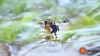 Indian song 9