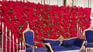 Flowers Decor by Oneeb 3