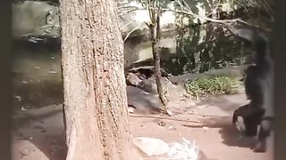 Funny animal ???????? #funny #monkey