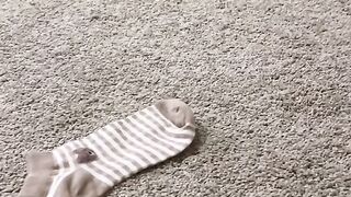 funny cat 75