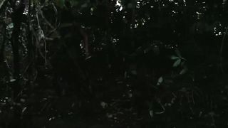 PREDATOR CLIP COMPILATION _2 (1987) Sci-Fi_ Arnold Schwarzenegger(720P_HD)