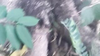 Animal lovers 260