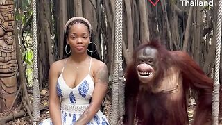 Gorilla my boyfriend