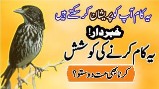 Urdu Quotes| aqwalezareen | umarg tv