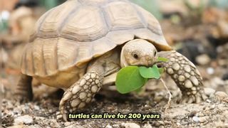 interesting facts animals