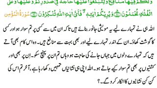 اسلامی معلومات 73