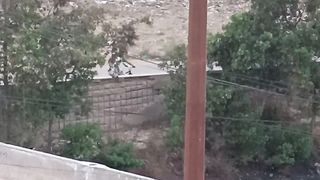 Rooftop scenes
