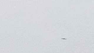 Kite flying 3