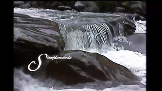 Simplemente 07