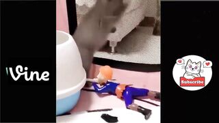 Funny Animals 30