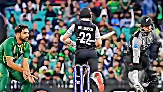 The ULTIMATE PCT meme TRILOGY | PCT being a ✨meme✨ | Pak Cricket Editz