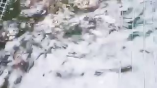 Ternak ikan lele
