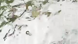 Ternak ikan lele skala kecil