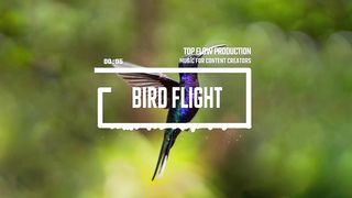 Bird Flight [Breaks Pop Music, Royalty Free Music by Top Flow Production]
