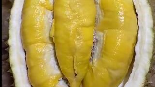 DUREN FRUTAS EXÓTICAS