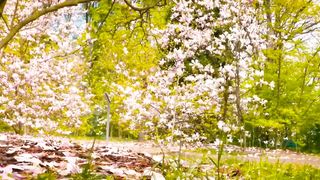 Oasis of Calm – music to meditate, relax, calm down and relieve stress