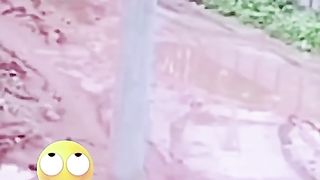 Amazing track