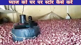how to store onions at home,