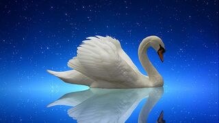 Swan Lake