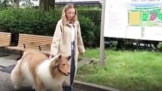 Japani dog