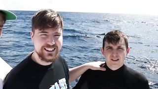 Would You Swim With Sharks For $100,000 2