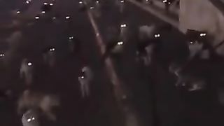 Terrifying group of cats