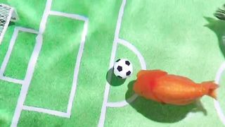 Fish soccer