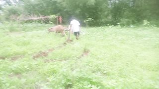 देहात में खेती