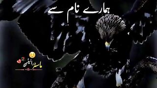 urdu poetry 6