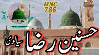 Hassnain Raza Sialvi  MNC786