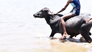 Samudra paar kar diya