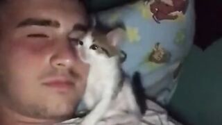 КОТКИ 31