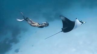 Snorling @pari