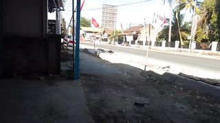 Vehicles - Cars, Motorcycles, Buses and Bicycles Moving in bustle (2)