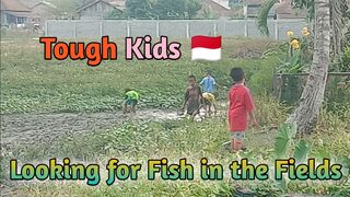 children looking for fish in the fields