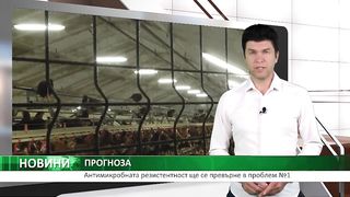 Аgro TV : ПРОБЛЕМИ В ПТИЦЕВЪДТСВОТО