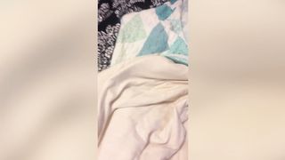 Cute and Funny Cat Videos to Keep You Smiling! ????
