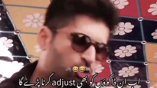 Abaiy Bhulaay Insaan Yeah Dakoo Hain
