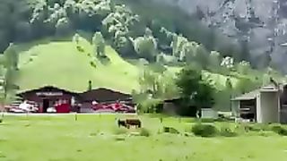 Switzerland 8