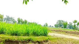 Calming Video | Beautiful View of World | Nature of soul | #febspotnaturevideo