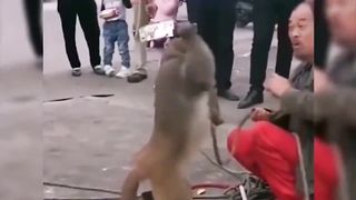 Take stock of those humiliating moments盘点那些污辱性极强的时刻