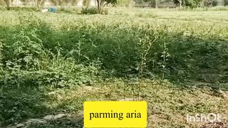 parming aria 2