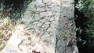 walk in the park in the morning