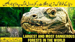 Amazon Jungle aur Duniya ke Khatarnak Jungles | Dangerous Forests in the World | in Urdu