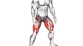 The Best Legs Exercises( No Weights)